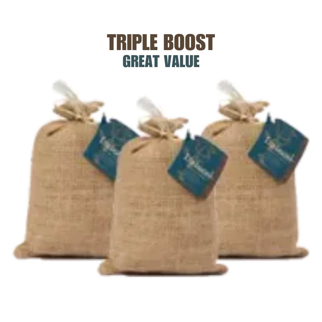 50% Off Your First Order of 3 Packs of LifeBoost Coffee Today!