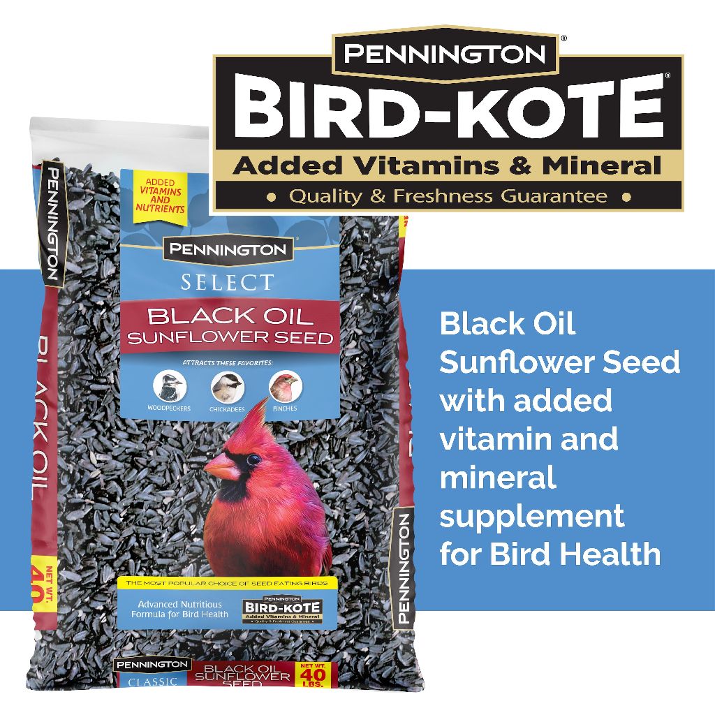 Pennington Select Black Oil Sunflower Seed Dry Wild Bird Feed 40lb - $19.98 (or 20lb - $14.96/10lb - $9.94)