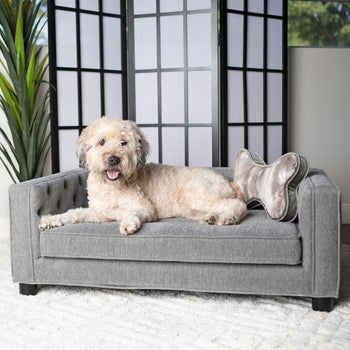 La-Z-Boy Franklin Dog Sofa with Pillow $100. Reg $200. F/S from Costco.