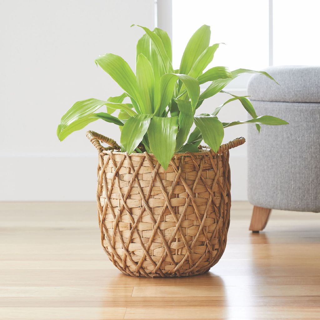 11" Better Homes & Gardens Round Natural Water Hyacinth Basket Planter $9.94 & More + Free Shipping on $35+ or w/ Walmart+
