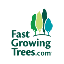 Fast growing trees